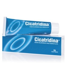 CICATRIDINA POMATA 60G - Abelastore.it - Dispositivi sanitari