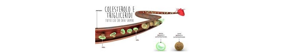 Colesterolo e Trigliceridi