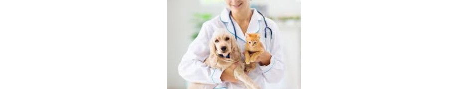 VETERINARI & ANIMALI